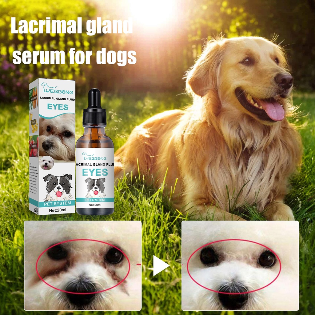 Yegbong Tear Duct Serum For Dogs, Cats And Dogs Removal Eye Poop Pet Topical Eye Tear Stain Serum