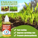 Yegbong Plant Growth Nutrient, Flower Plant Concentration Promoting Root Growth Fertilizer