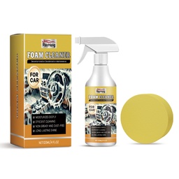 Rayhong Car Multi-Purpose Foam Cleaner Car Interior Cleaning And Maintenance Decontamination Waterproof Car Maintenance